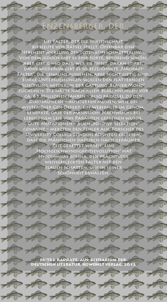 Bild von Juliane Duda mit den Zeichnungen von Klaus Ensikat und den Texten von Fritz J. Raddatz aus seinem Bestiarium der deutschen Literatur. Hier „Enzensberger, der“.