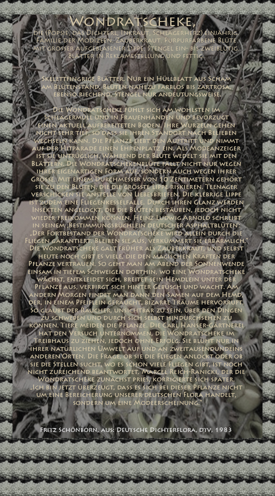 Bild von Juliane Duda mit den Texten von Fritz Schönborn aus seiner Deutschen Dichterflora. Hier „Wondratscheke“.