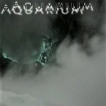 Mashup von Juliane Duda zu dem Buch von Jeffrey Yang: Ein Aquarium