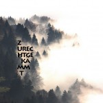 Mashup von Juliane Duda zu dem Buch von Fritz Deppert, Christian Döring, Hanne F. Juritz und Karl Krolow (Hrsg.): Die Worte zurechtgekämmt