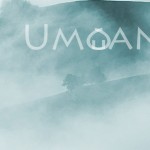 Mashup von Juliane Duda zu dem Buch von Peter Geist, Walfried Hartinger u.a. (Hrsg.): Vom Umgang mit Lyrik der Moderne