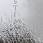Mashup von Juliane Duda zu dem Buch von Wulf Kirsten: Stimmenschotter