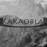 Mashup von Juliane Duda zu dem Buch von Ursula Krechel: Kakaoblau