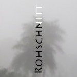 Mashup von Juliane Duda zu dem Buch von Ursula Krechel: Rohschnitt