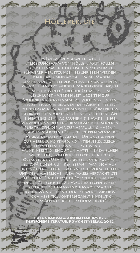 Bild von Juliane Duda mit den Zeichnungen von Klaus Ensikat und den Texten von Fritz J. Raddatz aus seinem Bestiarium der deutschen Literatur. Hier „Höllerer, die“.