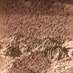 Mashup von Juliane Duda zu dem Buch von Gennadji Ajgi & Günther Uecker: ЧИЩЕ ЧЕM CMЫCЛ / Reiner als Sinn