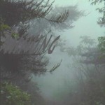 Mashup von Juliane Duda zu dem Buch von Jochen Kelter: Eine Ahnung von dem was ist