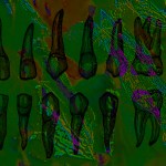 Mashup von Juliane Duda zu dem Buch von Dimitris Lyacos: Poena Damni – Der Erste Tod