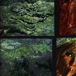 Mashup von Juliane Duda zu dem Buch von Gerhard Rühm: Die Winterreise dahinterweise