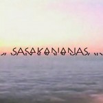Mashup von Juliane Duda zu dem Buch von Martin Jankowski: sasakananas