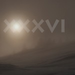 Mashup von Juliane Duda zu dem Buch von Ulf Stolterfoht: fachsprachen XXVIII–XXXVI