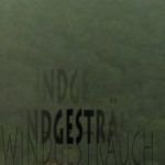 Mashup von Juliane Duda zu dem Buch von Johannes Bobrowski: Im Windgesträuch