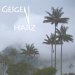 Mashup von Juliane Duda zu dem Buch von Eberhard Häfner: Geigenharz
