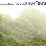 Mashup von Juliane Duda zu dem Buch von Volker Braun: Training des aufrechten Gangs