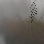 Mashup von Juliane Duda zu dem Buch von Alexandru Bulucz: Aus sein auf uns