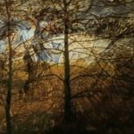 Mashup von Juliane Duda zu dem Buch von Helga M. Novak: Poesiealbum 320