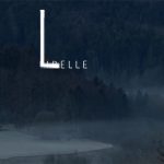 Mashup von Juliane Duda zu dem Buch von Hendrik Rost: Der Pilot in der Libelle