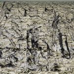 Mashup von Juliane Duda zu dem Buch von Gottfried Benn: Poesiealbum 300