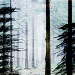 Mashup von Juliane Duda zu dem Buch von Hilde Domin: Poesiealbum 309