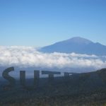 Mashup von Juliane Duda zu dem Buch von Juri Andruchowytsch: Werwolf Sutra