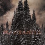 Mashup von Juliane Duda zu dem Buch von Peter Engstler: Manzanita