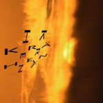 Mashup von Juliane Duda zu dem Buch von Àxel Sanjosé: Gelegentlich Krähen