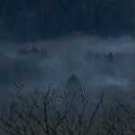 Mashup von Juliane Duda zu dem Buch von Emilian Galaicu-Păun: Yin Time