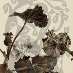 Mashup von Juliane Duda zu dem Buch von Paul Wiens: Vier Linien aus meiner Hand