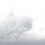 Mashup von Juliane Duda zu dem Buch von Peter Rühmkorf: Paradiesvogelschiß CD