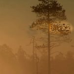 Mashup von Juliane Duda zu dem Buch von Marlen Pelny: Wir müssen nur noch die Tiere erschlagen