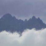 Mashup von Juliane Duda zu dem Buch von Marion Brandt (Hrsg.): Unterwegs und zurückgesehnt