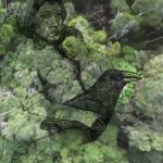 Mashup von Juliane Duda zu dem Buch von Jürgen Born: Endlosreise