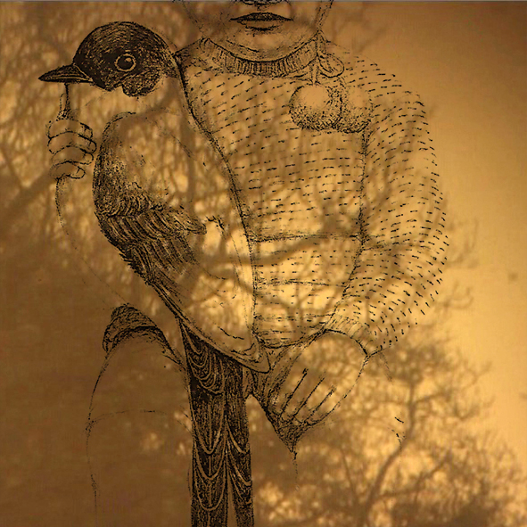 Mashup von Juliane Duda zu dem Buch von Ann Cotten: Pflock in der Landschaft