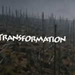 Mashup von Juliane Duda zu dem Buch von Christine Ivanovic (Hrsg.): Yoko Tawada – Poetik der Transformation