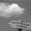 Brigitta Falkner: EINE GEHUNG – Palindrom