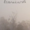 Daniel Bănulescu, Ernest Wichner: Preis für Europäische Poesie 2005