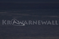 Gerrit-Jan Berendse (Hrsg.): KrⒶwarnewall
