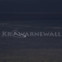 Gerrit-Jan Berendse (Hrsg.): KrⒶwarnewall