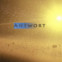 Elisabeth Borchers: Was ist die Antwort