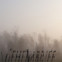Erika Burkart: Geheimbrief