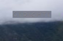 Paul Celan: Die Gedichte
