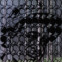 Stanley Chapman / Felix Philipp Ingold: AproPOLLINAIRE