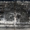 René Char: Poesiealbum 74