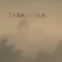 Bob Dylan: Tarantula / Tarantel