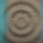 Gedichtmorphing