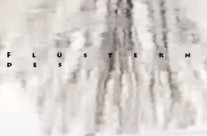 Nora Gomringer, Marco Grosse, Annette Hagemann, Ulrich Koch, Klaus Merz: Flüsterndes Licht