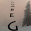 Grünbein / Oleschinski / Waterhouse / Engeler: Mehr ein Hören als ein Gebäude