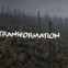Christine Ivanovic (Hrsg.): Yoko Tawada – Poetik der Transformation