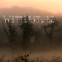 Wulf Kirsten: Wettersturz