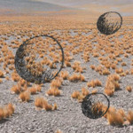 Ilia Kitup: Gibt es Leben auf dem Mars?